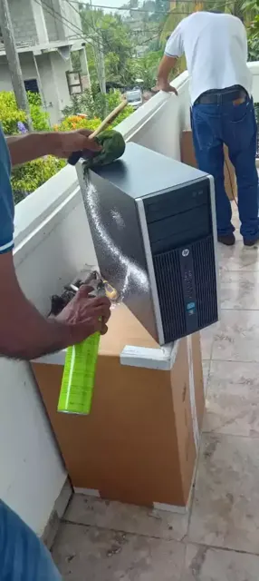 Complete servicing and repairing of Computers of College - 2024 – photo 5